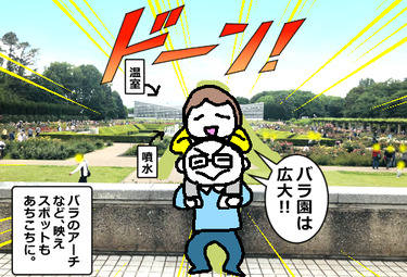バラ園3