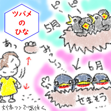 つばめのひな