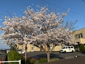IMG_5784