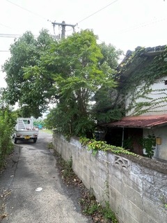 IMG_3445