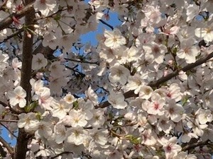IMG_5787