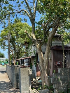 IMG_3451