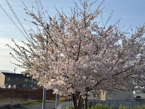 IMG_5783