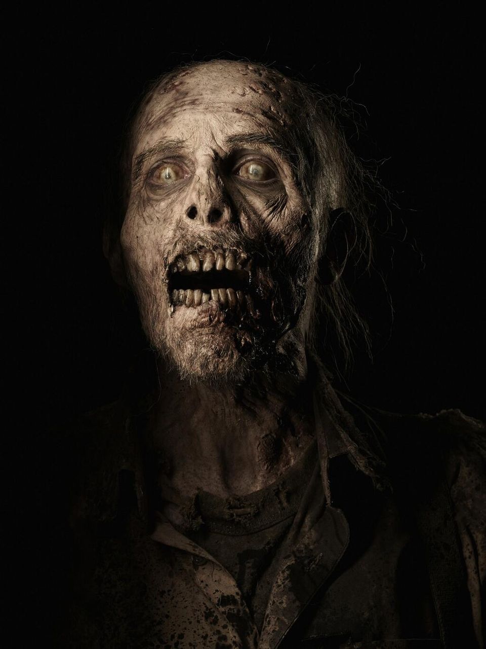 ゾンビ ドラマ ウォーキング デッド シーズン4のウォーカー画像その2 Zombie手帖ブログ ゾンビ ドラマ ウォーキング デッド シーズン4のウォーカー画像その2 Zombie手帖ブログ