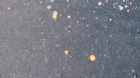 20251230_008