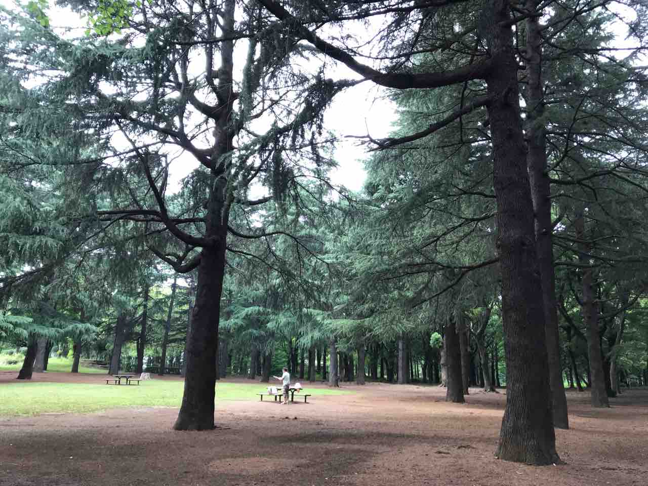 オザキフラワーパークとか野川公園とか 日本ゾンビ紀行 オザキフラワーパークとか野川公園とか 日本ゾンビ紀行