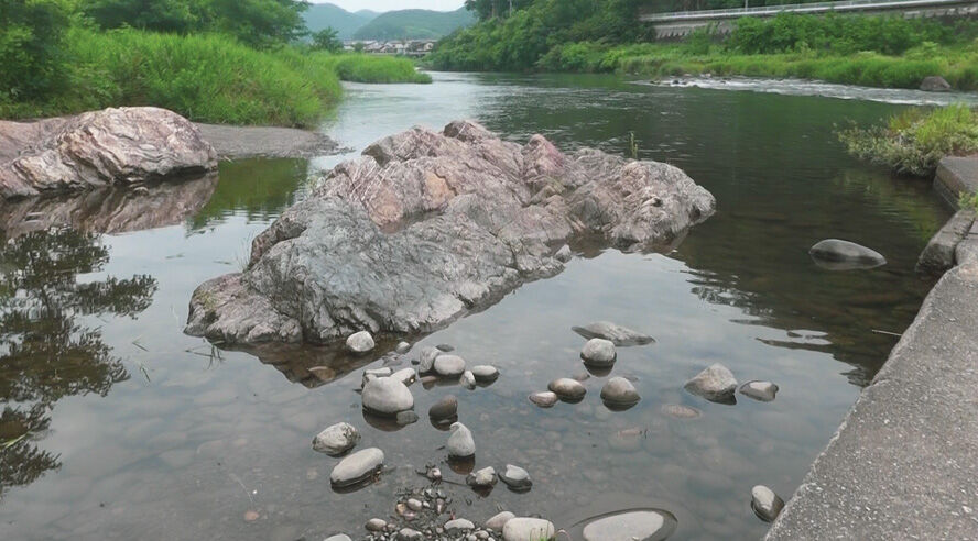桜石　渡良瀬川川 渡瀬川 桜石｜Yahoo!フリマ（旧PayPayフリマ）