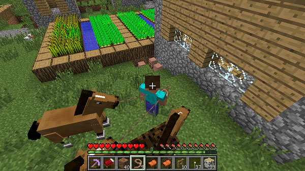 馬を迎えに行く 前編 マインクラフトてんやわんや開拓記