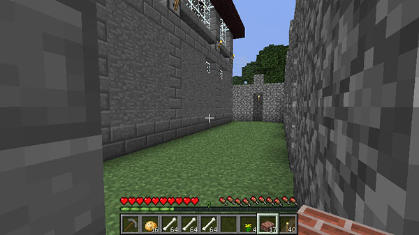 怪しい館を作る 5 マインクラフトてんやわんや開拓記 怪しい館を作る 5 マインクラフトてんやわんや開拓記