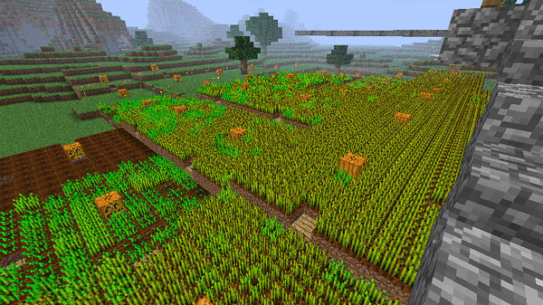 大小麦畑の夢 叶えます 2 マインクラフトてんやわんや開拓記