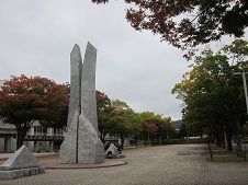 IMG_5357