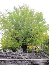 IMG_5358