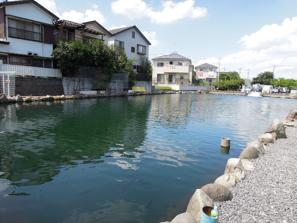 ココがオススメ 南関東の管理釣り場その5 朝霞ガーデン 魚釣りの妄想 はきださせてください