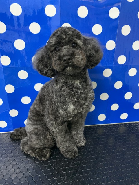 ru-ku