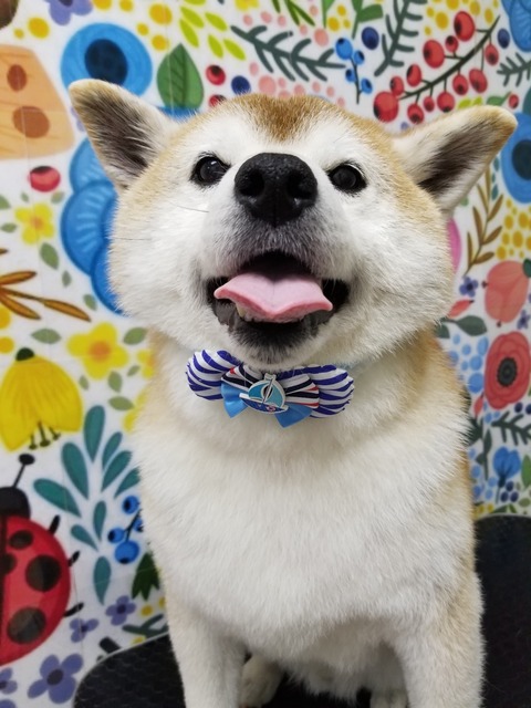 kenta