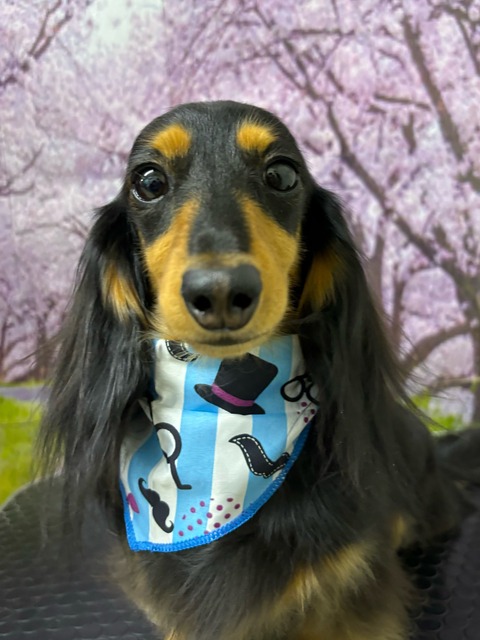 うに