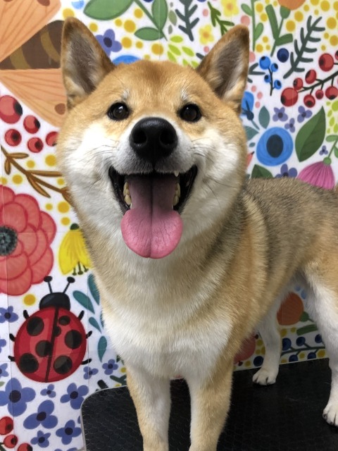 ken