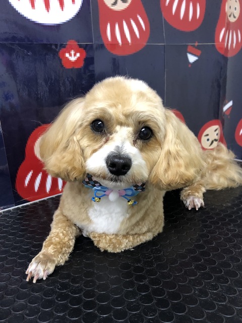 kai