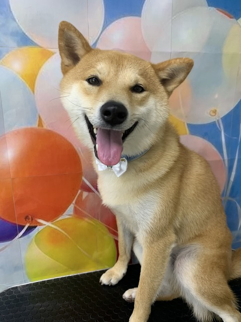 ken