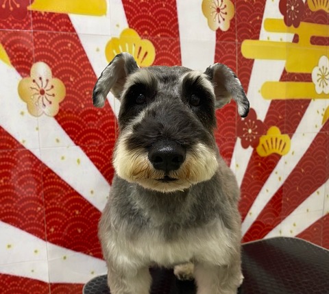 ワンタン