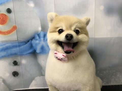 kuru
