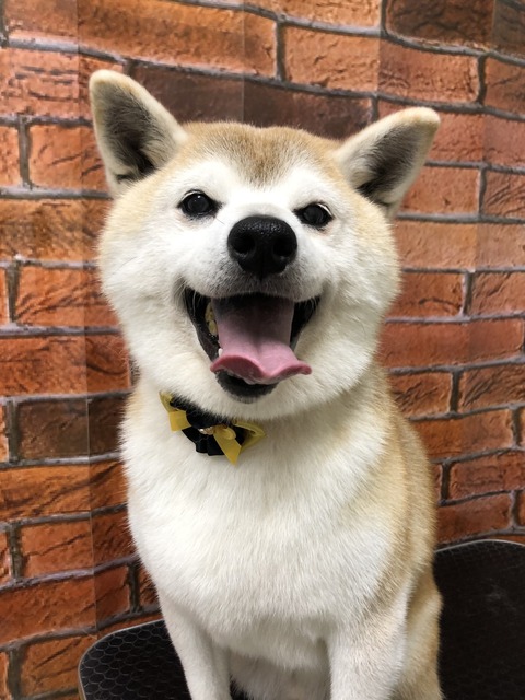 kenta
