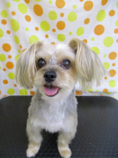 IMG_2255 - コピー - コピー