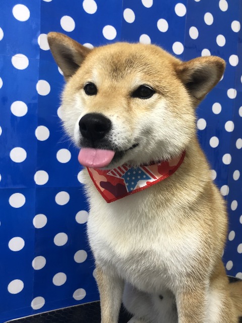 sora