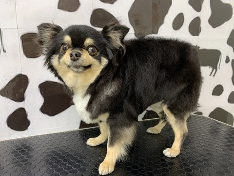 huuki