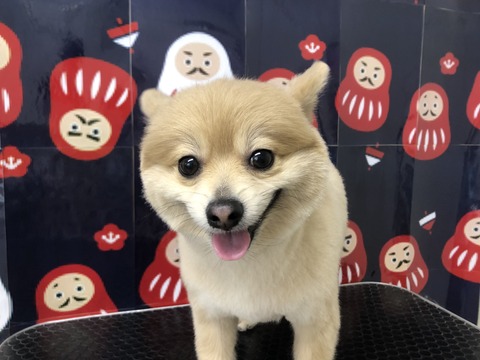 haru