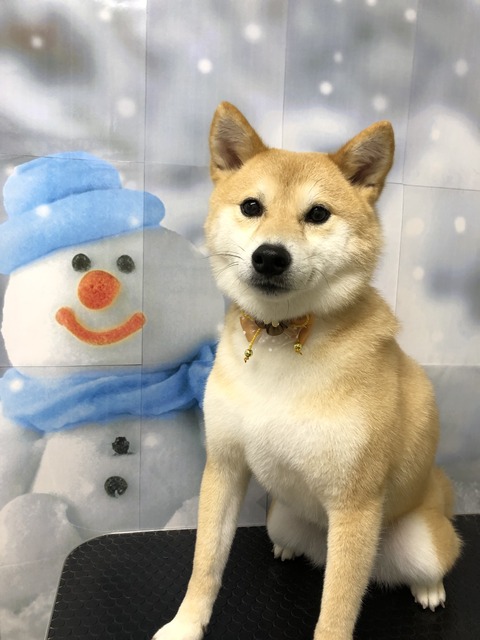 hi