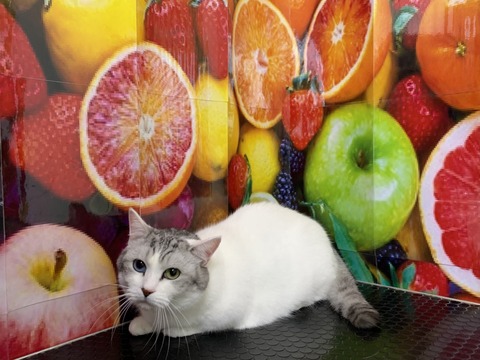 メロンジュース