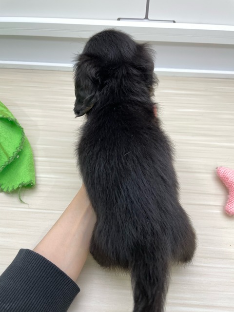 image0