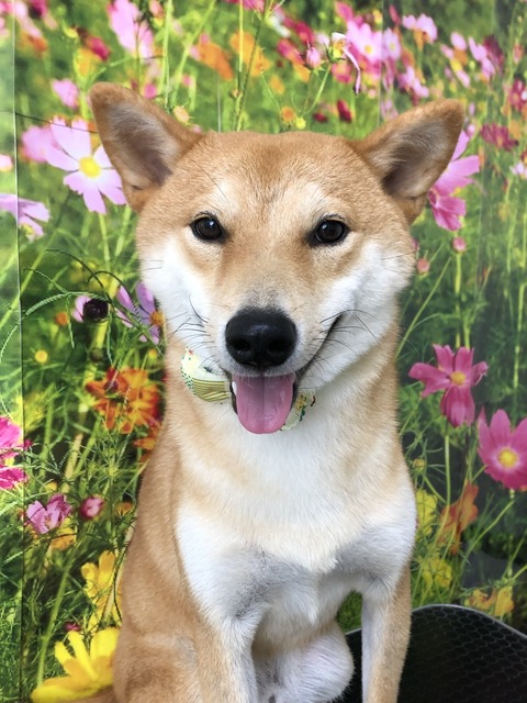 ken