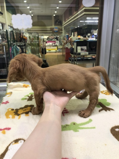 D9AD6EC5-9117-42DC-838E-A32C66EB57BD