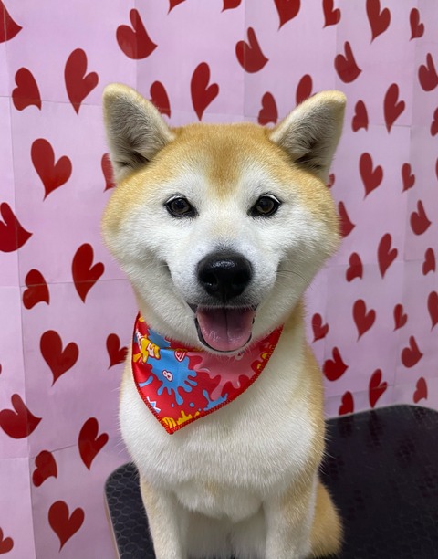 maro