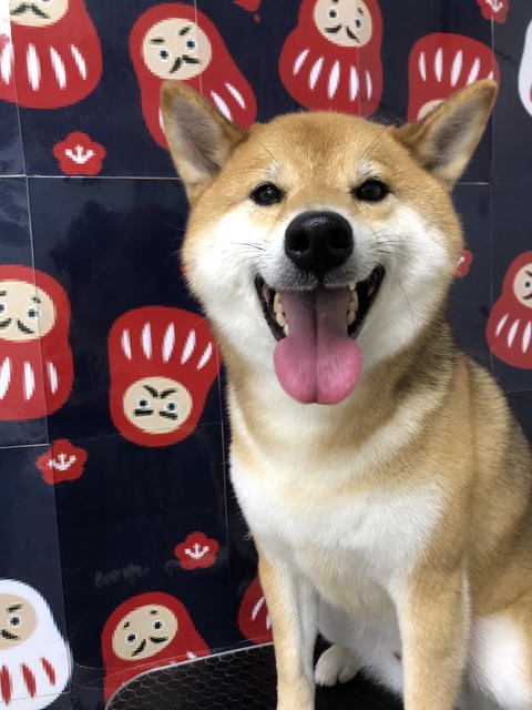ken