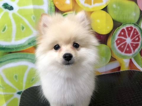 yum