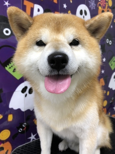 ryu