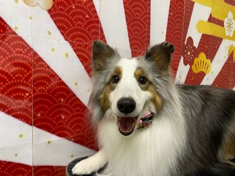 エマ
