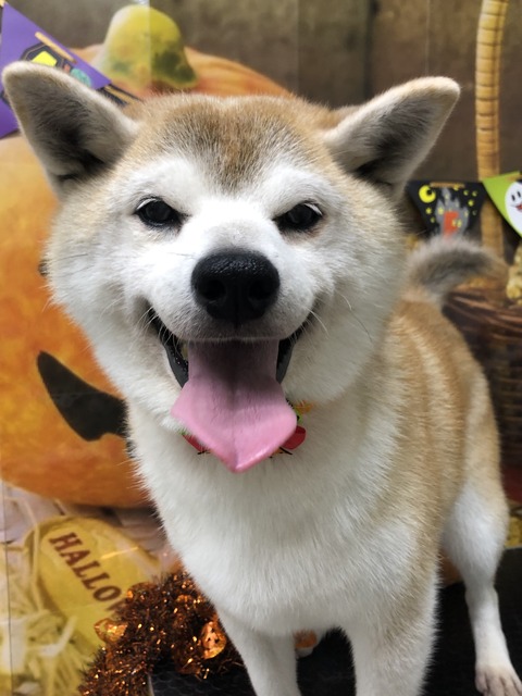 kenta