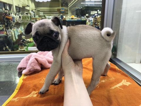 1EBF38DE-E340-4ACC-85B0-7E65DB8F77CF