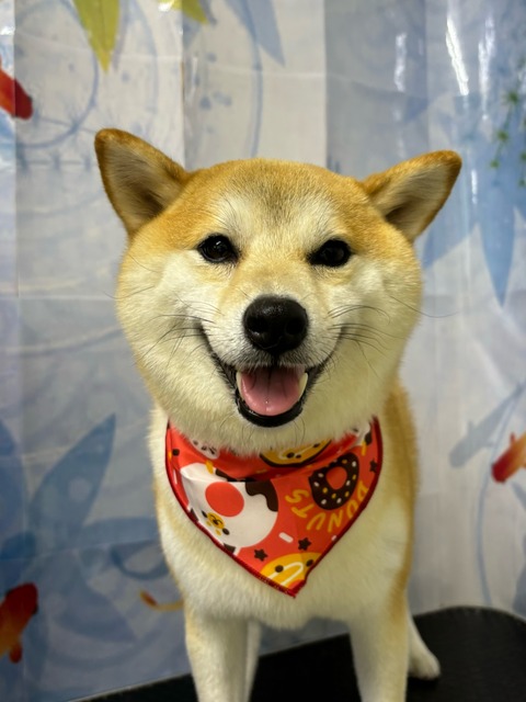 もね