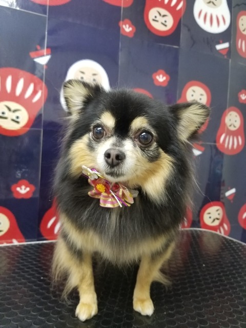 hana