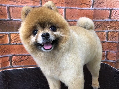 huku