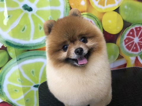 huku