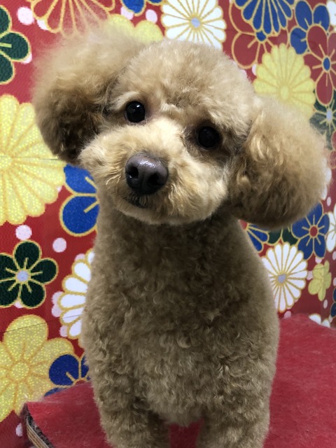 れお