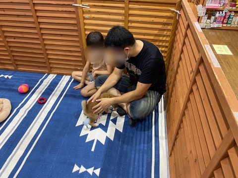 9.19柴