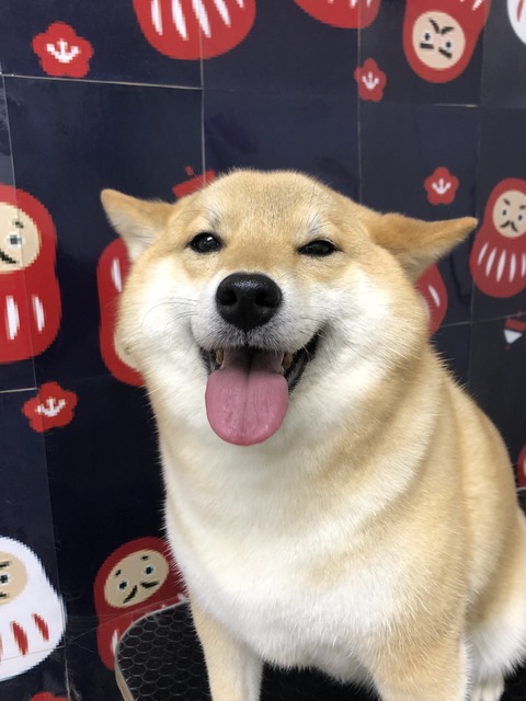 tyako