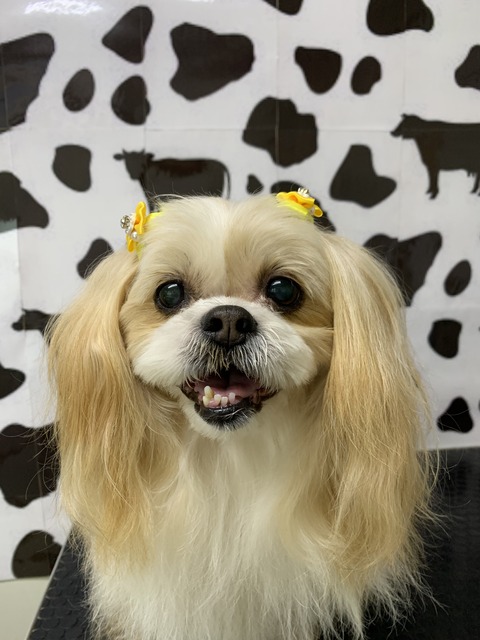 maruko